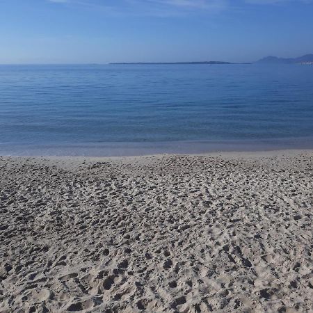 Le Palais Du Tropique Appartement Vue Mer 5E Etage Avec Ascenseur Juan-les-Pins Luaran gambar